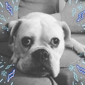 Meet your Posher, Deanna